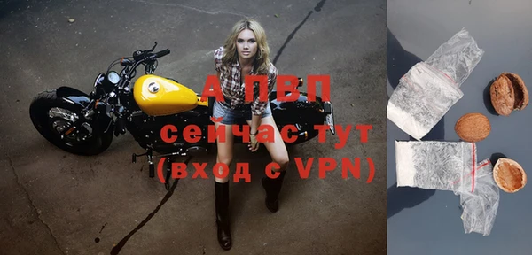 стафф Богородск