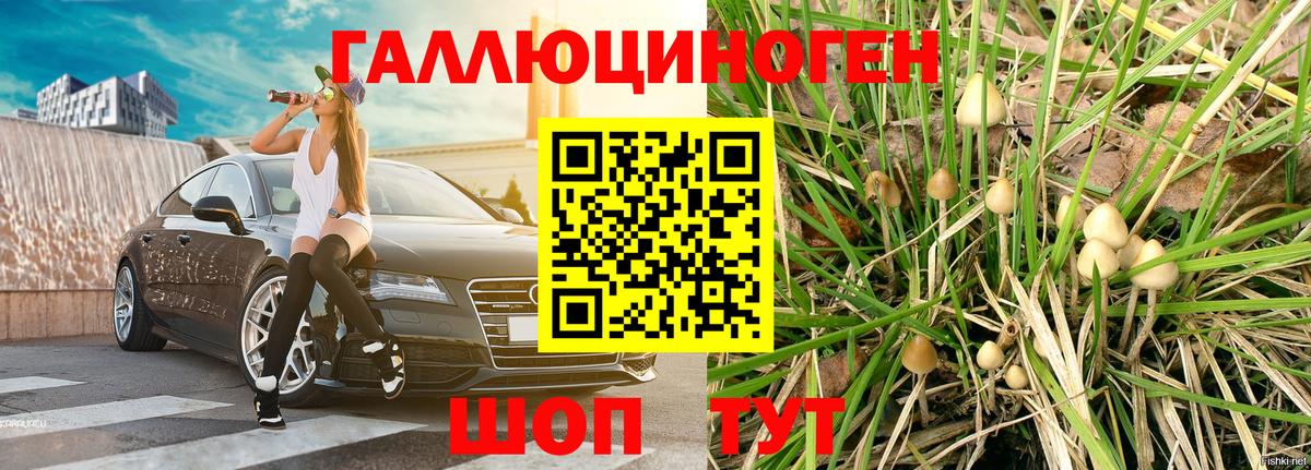 Псилоцибиновые грибы мицелий Бугуруслан